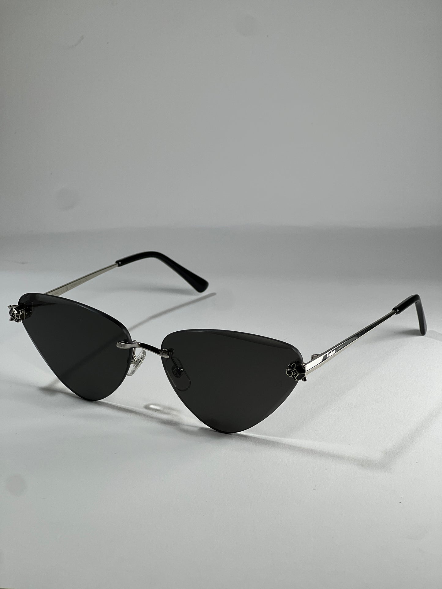 Cartier CT0399S